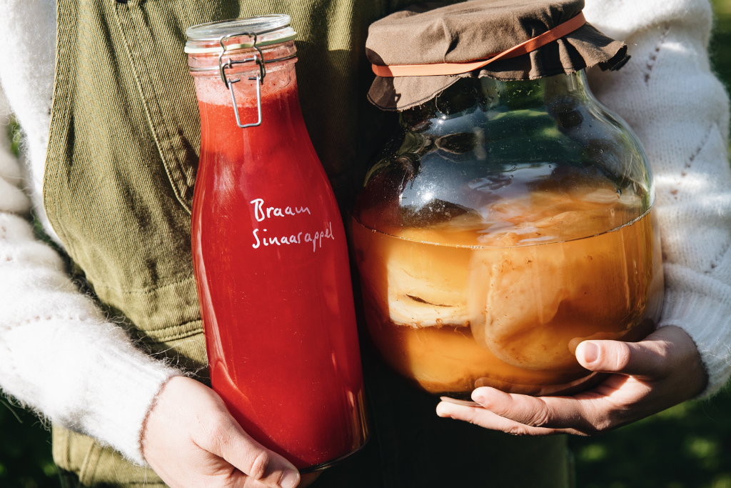 Kombucha bewaren en het scoby hotel