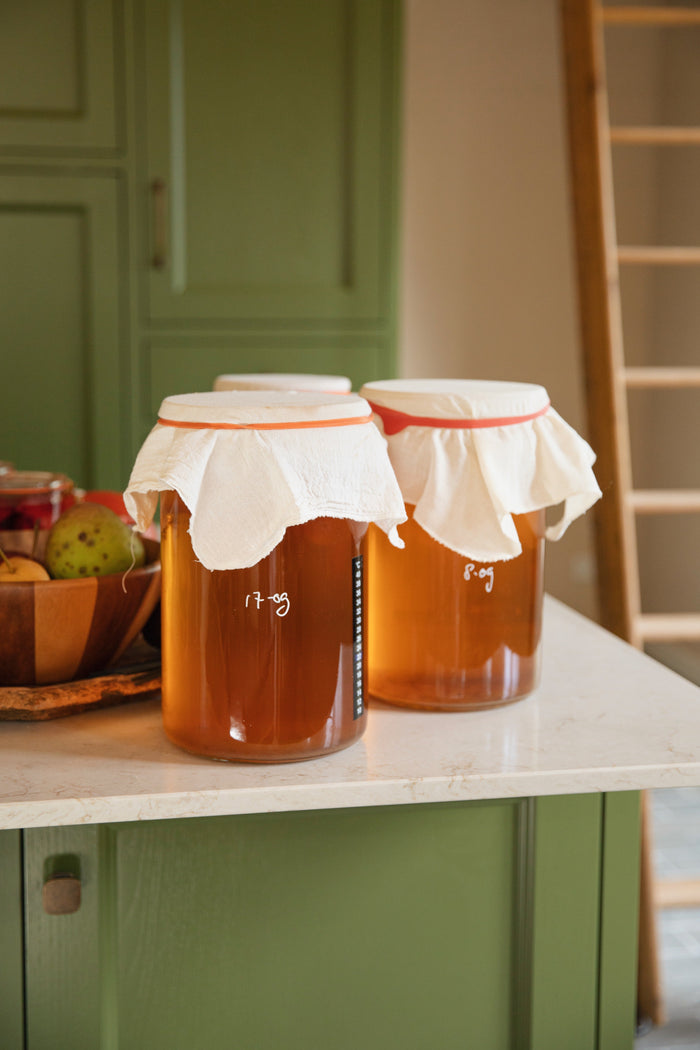Kombucha die staat te fermenteren in een grote bokaal