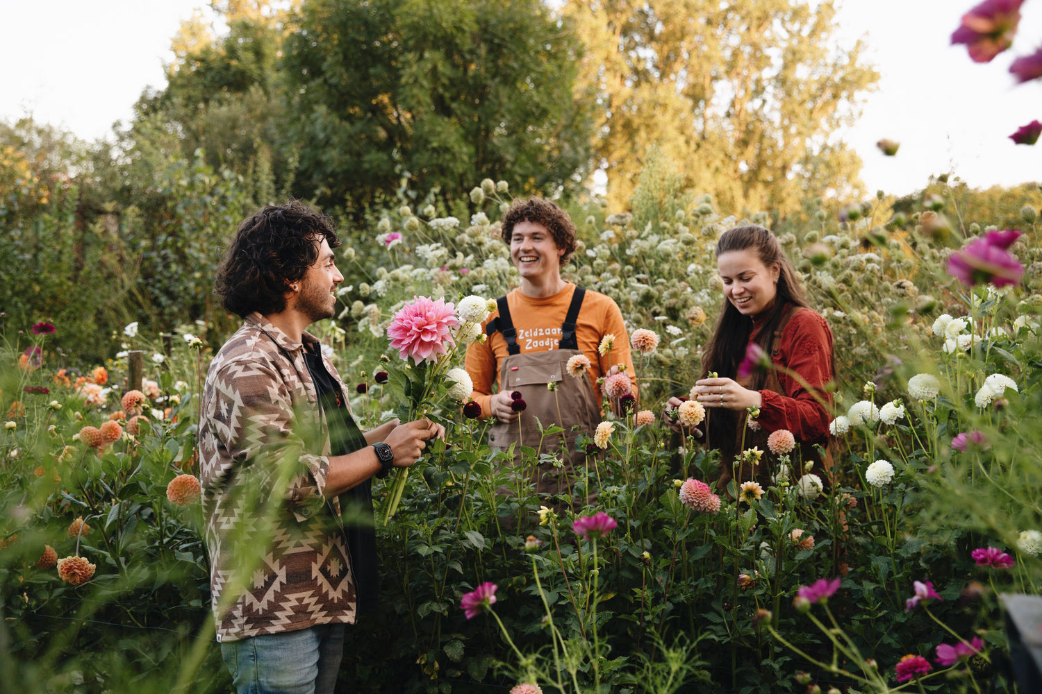 Pluktuin met bloeiende dahlia's