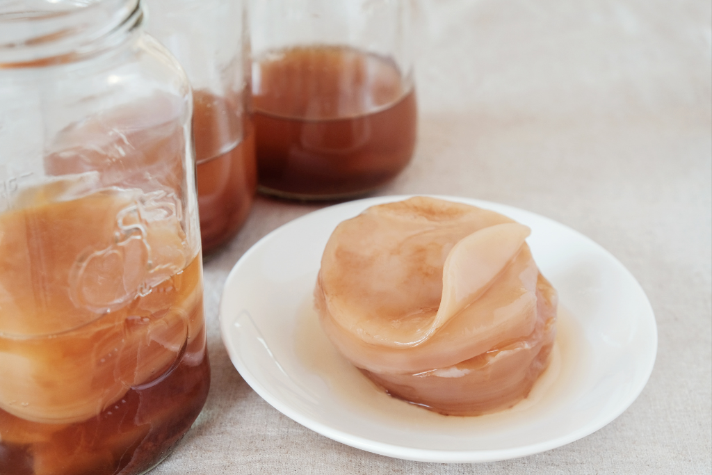 Een scoby op een bord, de basis voor kombucha