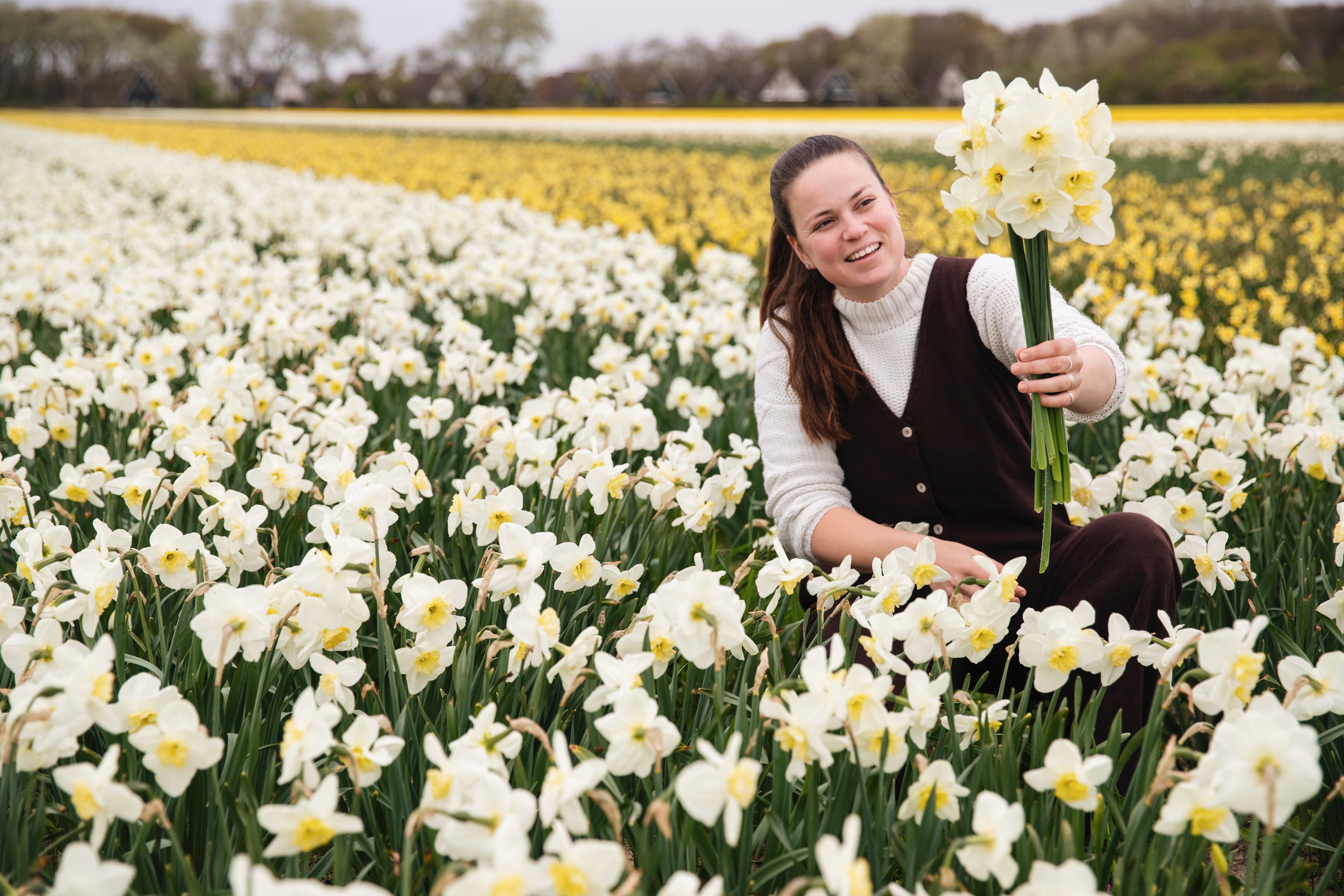 Biologisch bollenveld in bloei bij De Groene Makers