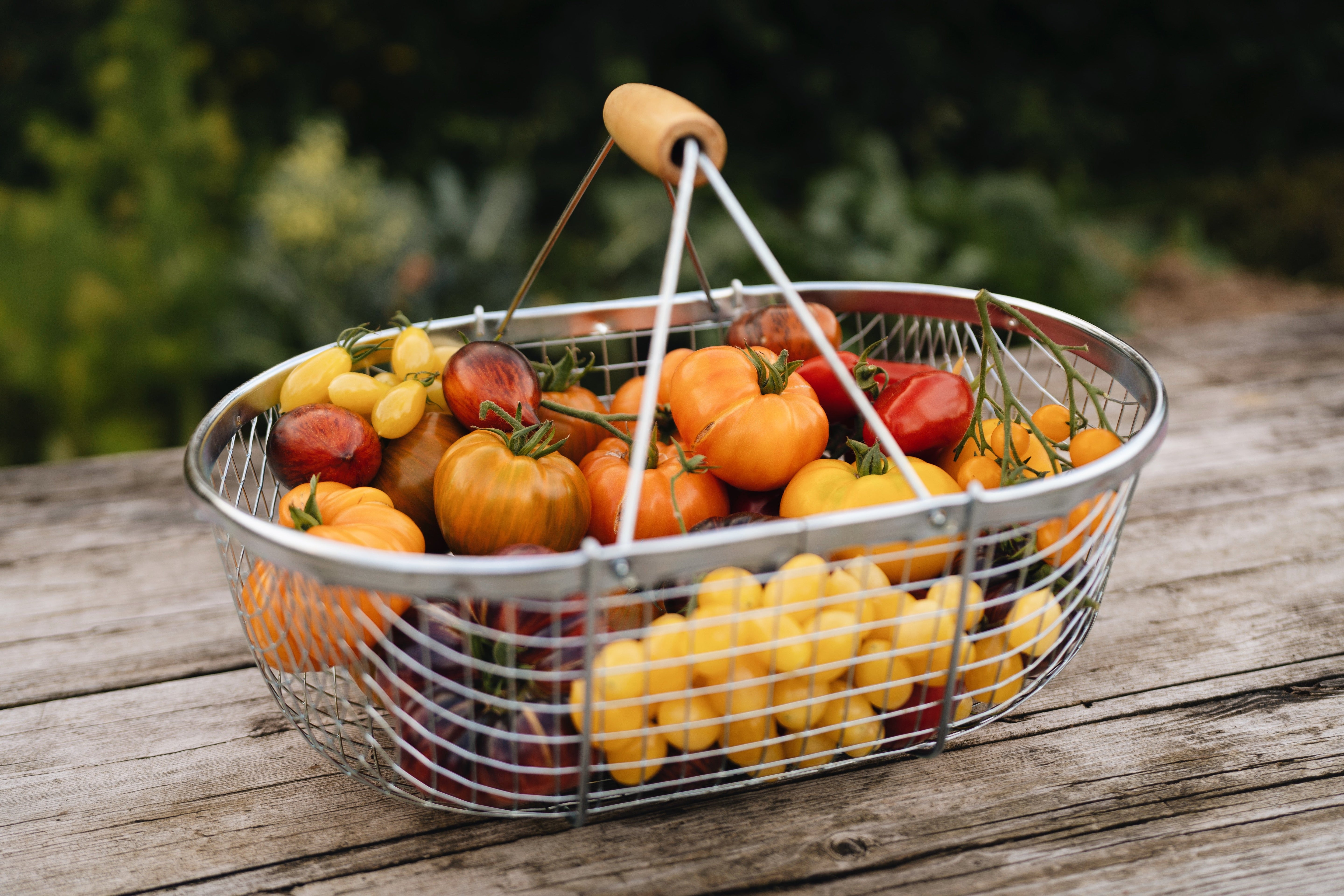Tomaten