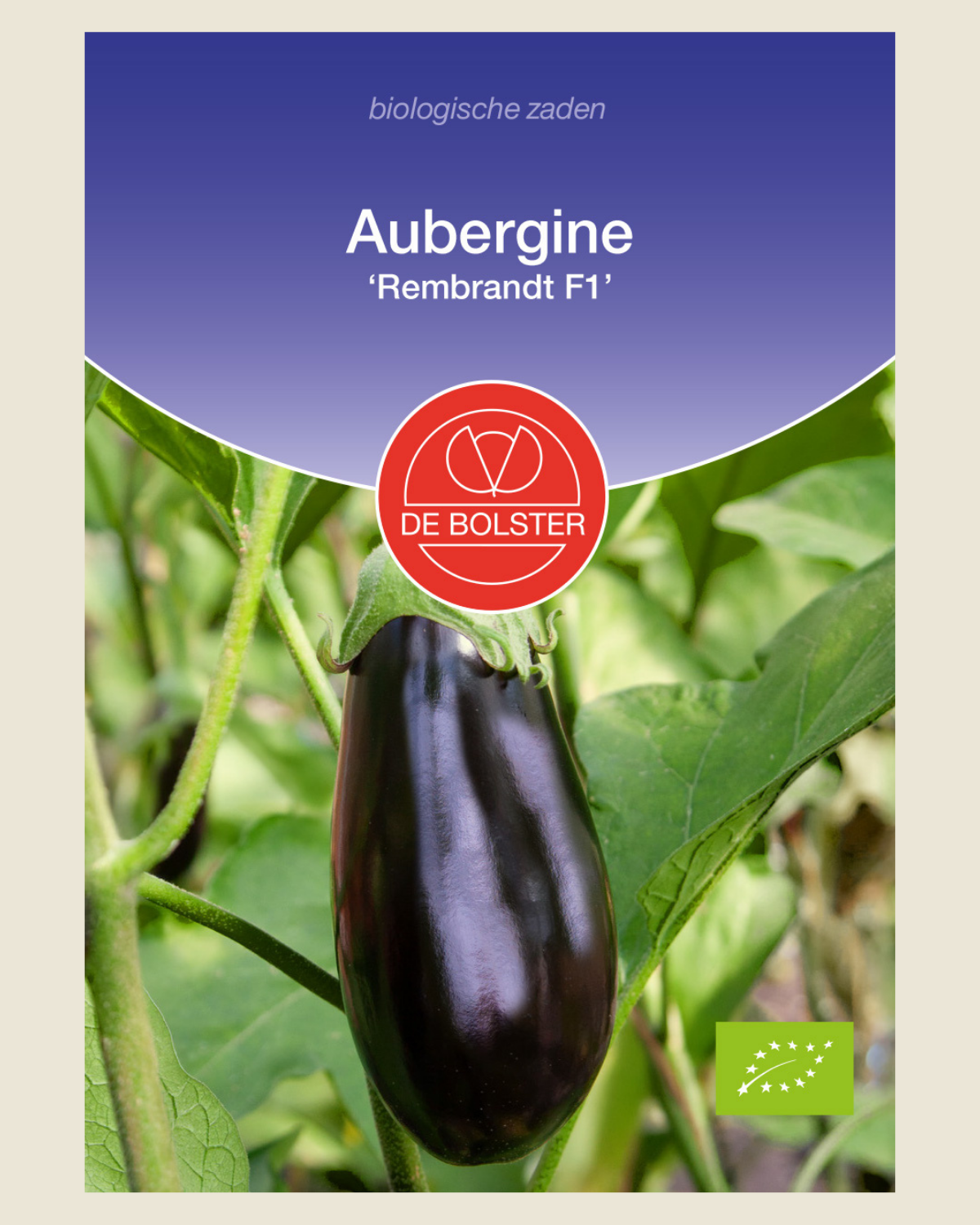 Aubergine 'Rembrandt F1' BIO