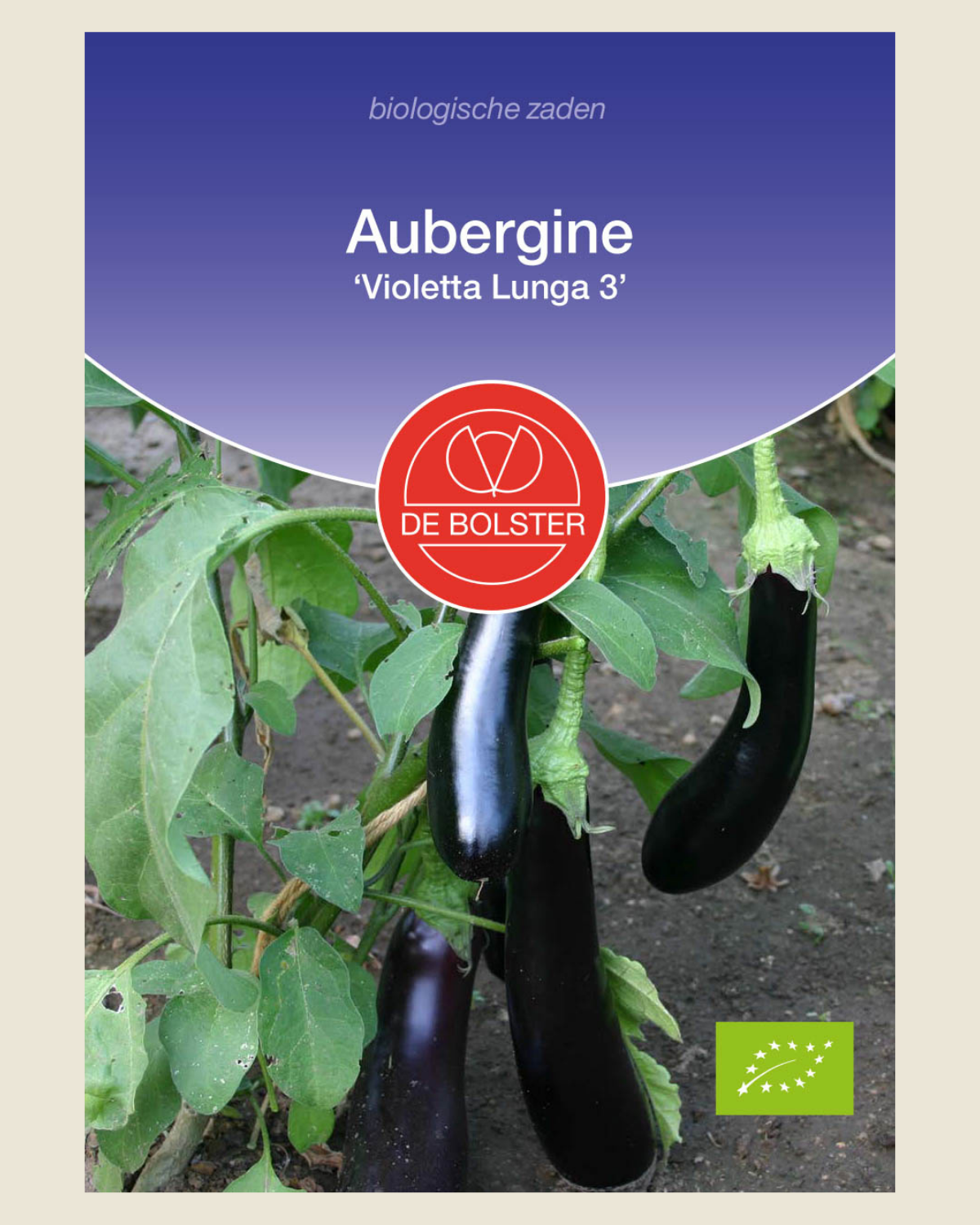 Aubergine 'Violetta Lunga 3' BIO