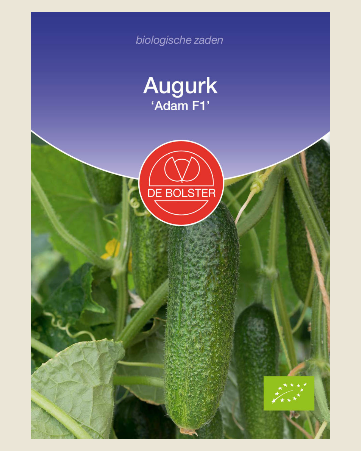 Augurk 'Adam F1' BIO