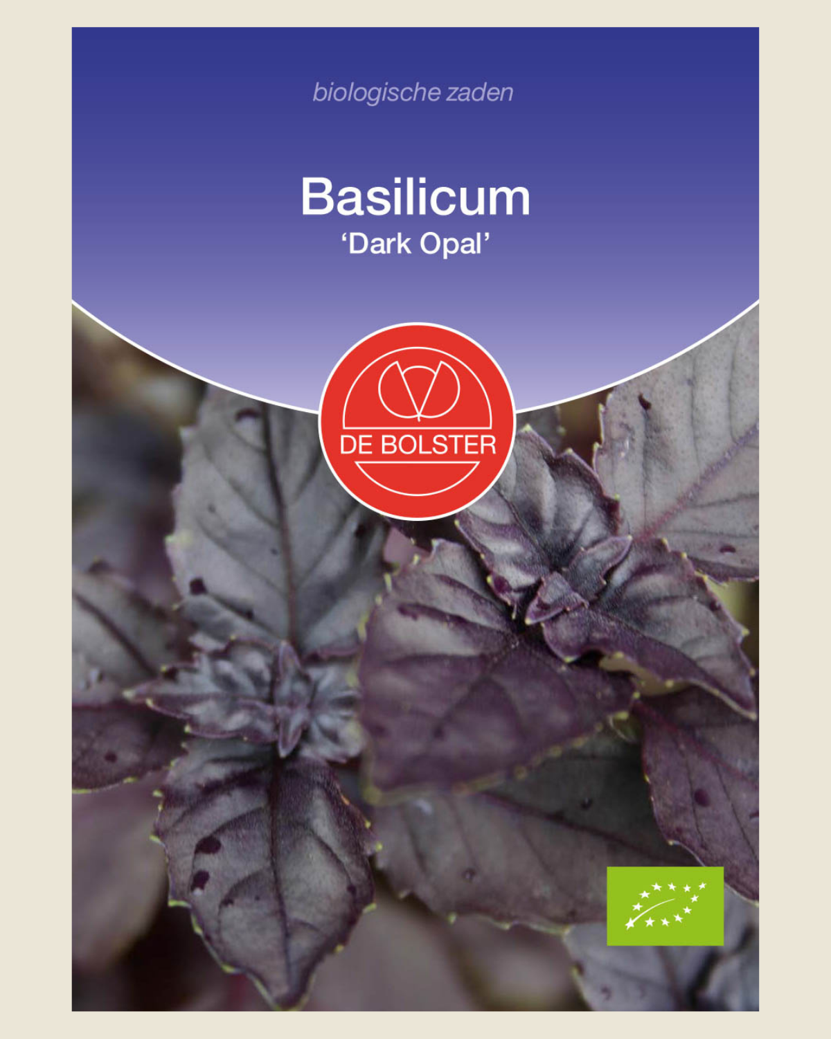 Basilicum 'Dark Opal'