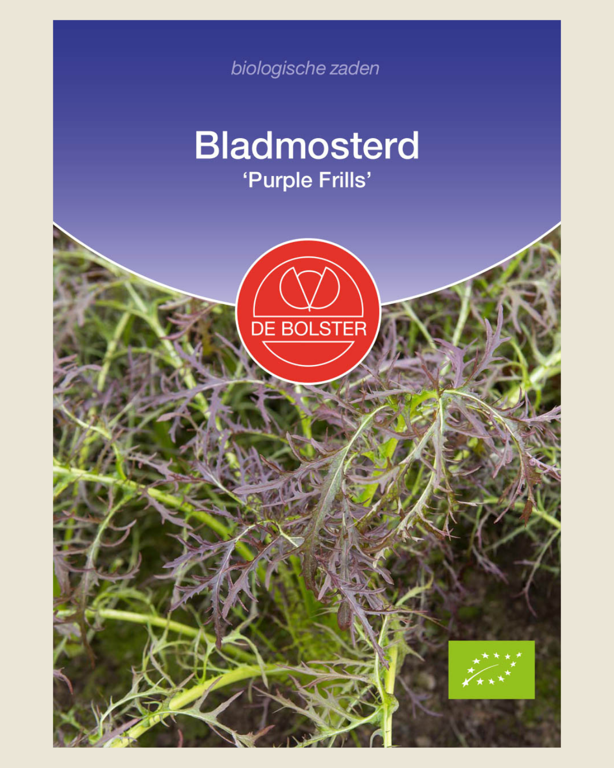 Bladmosterd 'Purple Frills' BIO