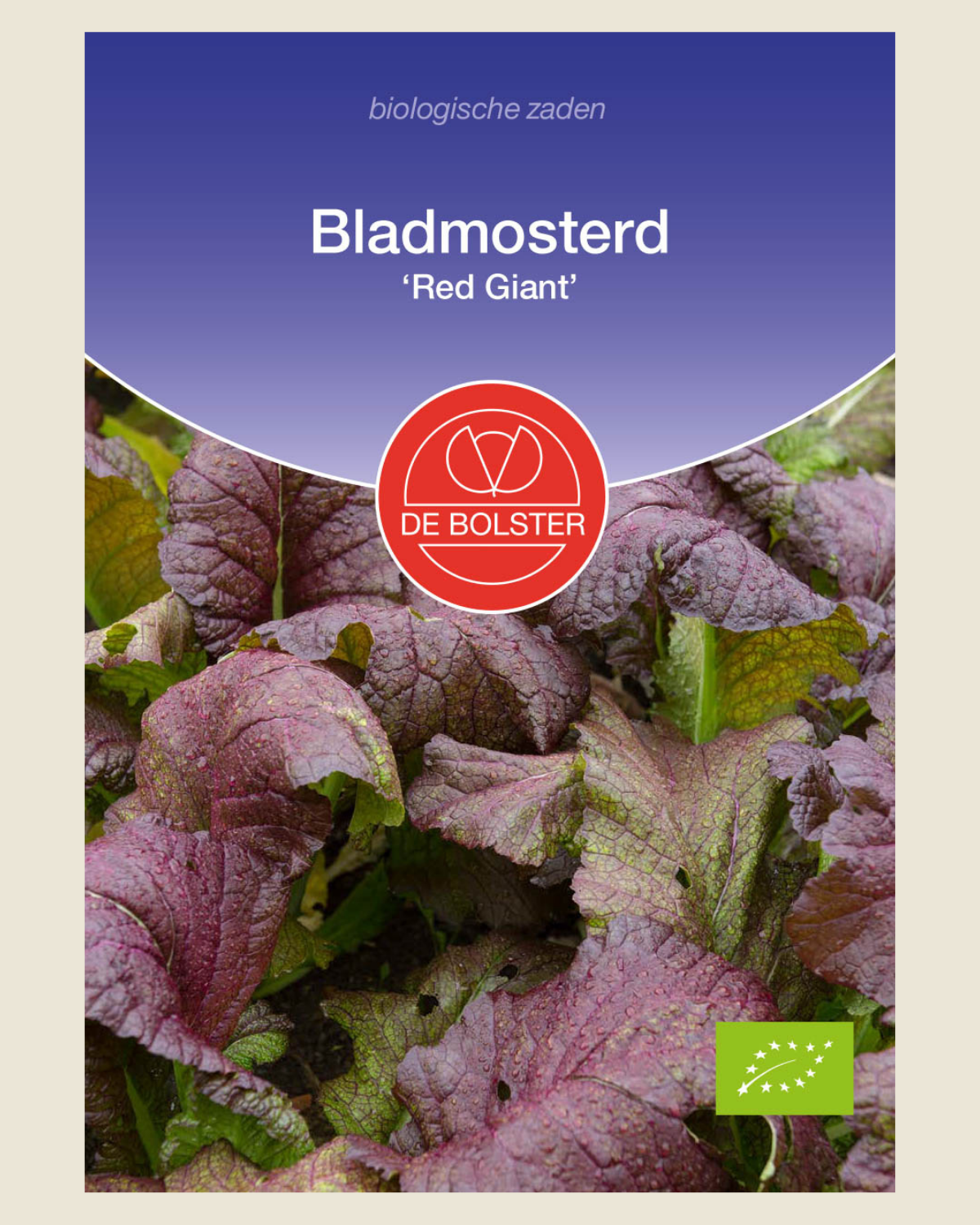 Bladmosterd 'Red Giant' BIO