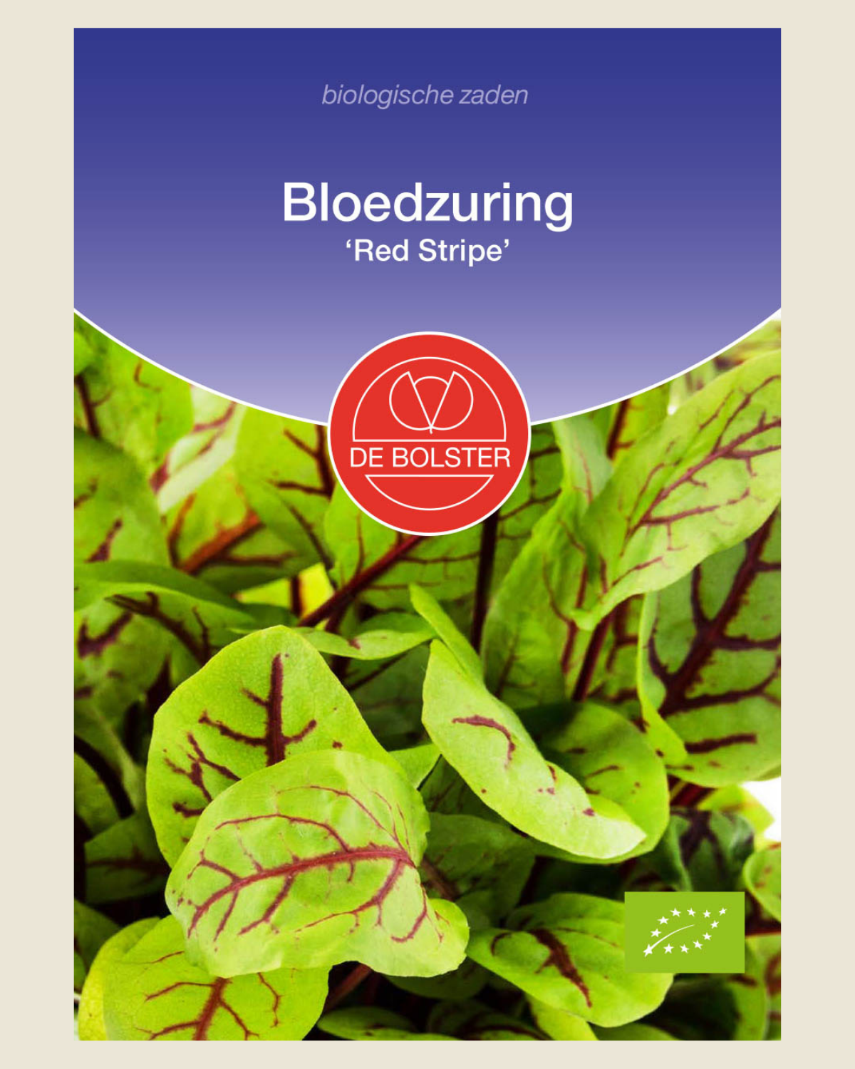 Bloedzuring 'Red Stripe' BIO