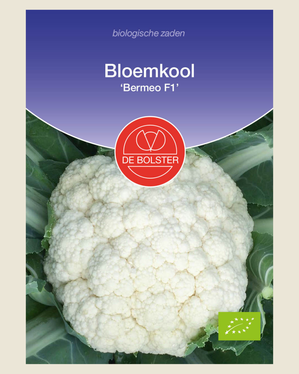 Bloemkool 'Bermeo F1' BIO