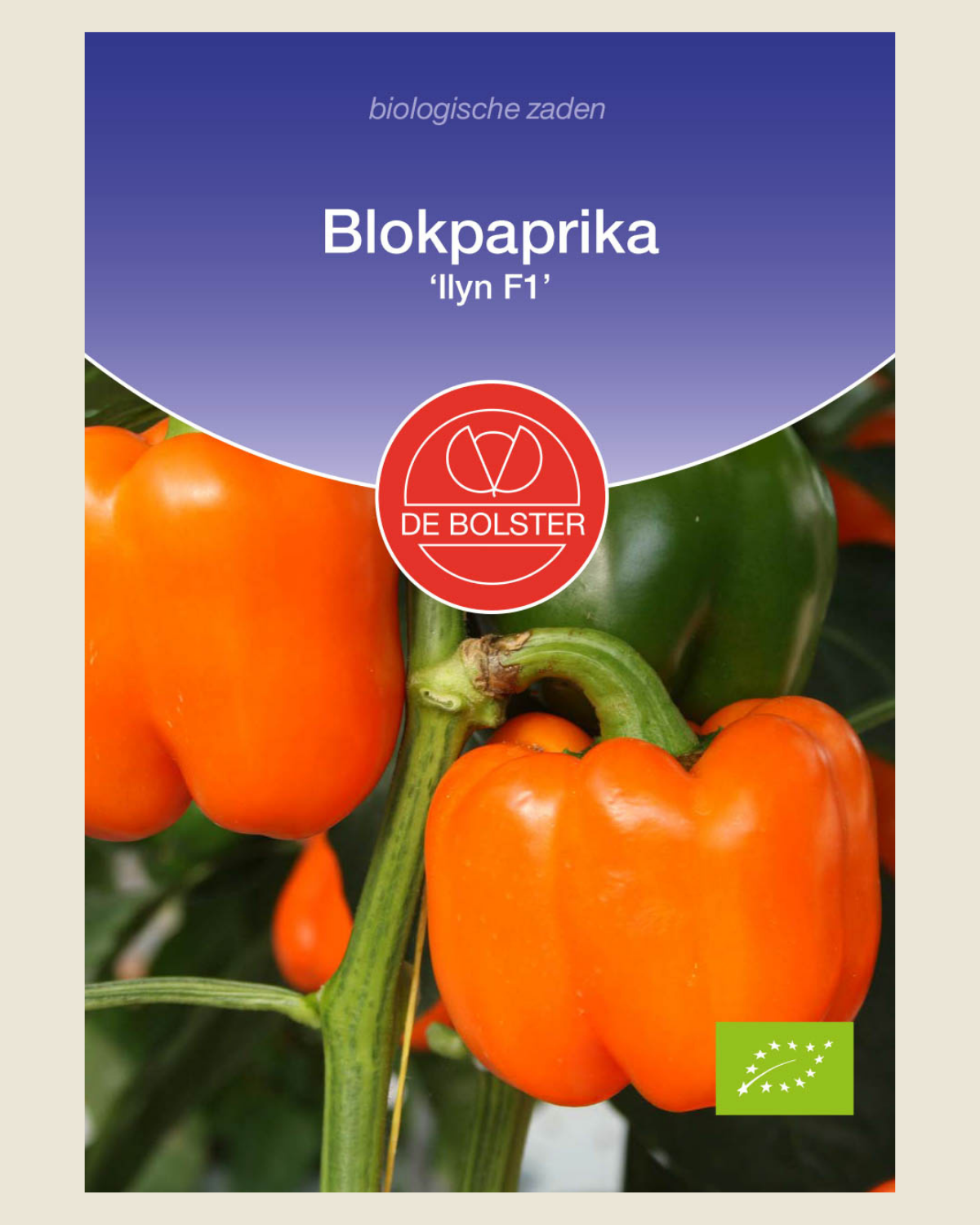Blokpaprika 'Ilyn F1' BIO
