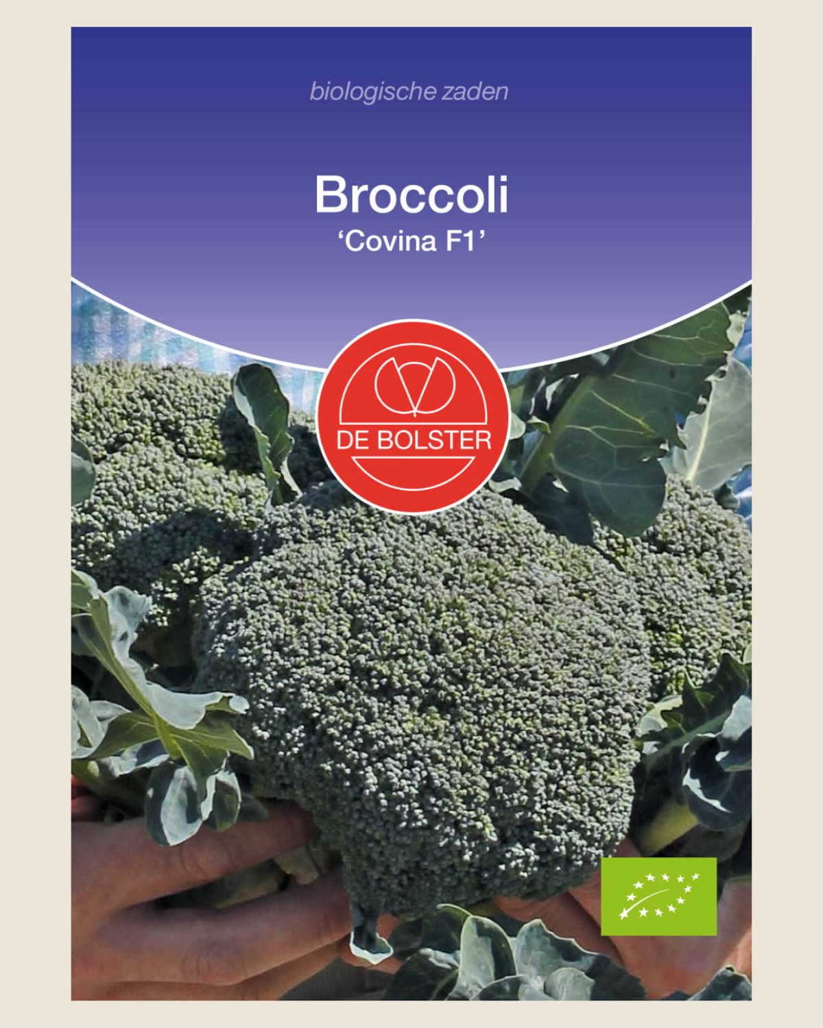 Broccoli 'Covina F1' BIO