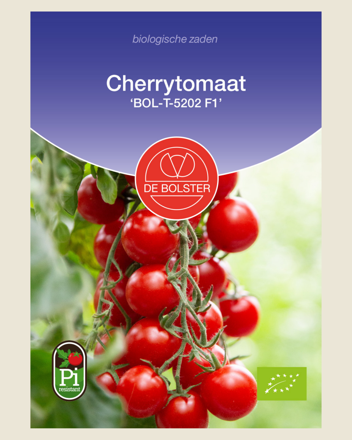 Cherrytomaat 'BOL-T-5202 F1' BIO