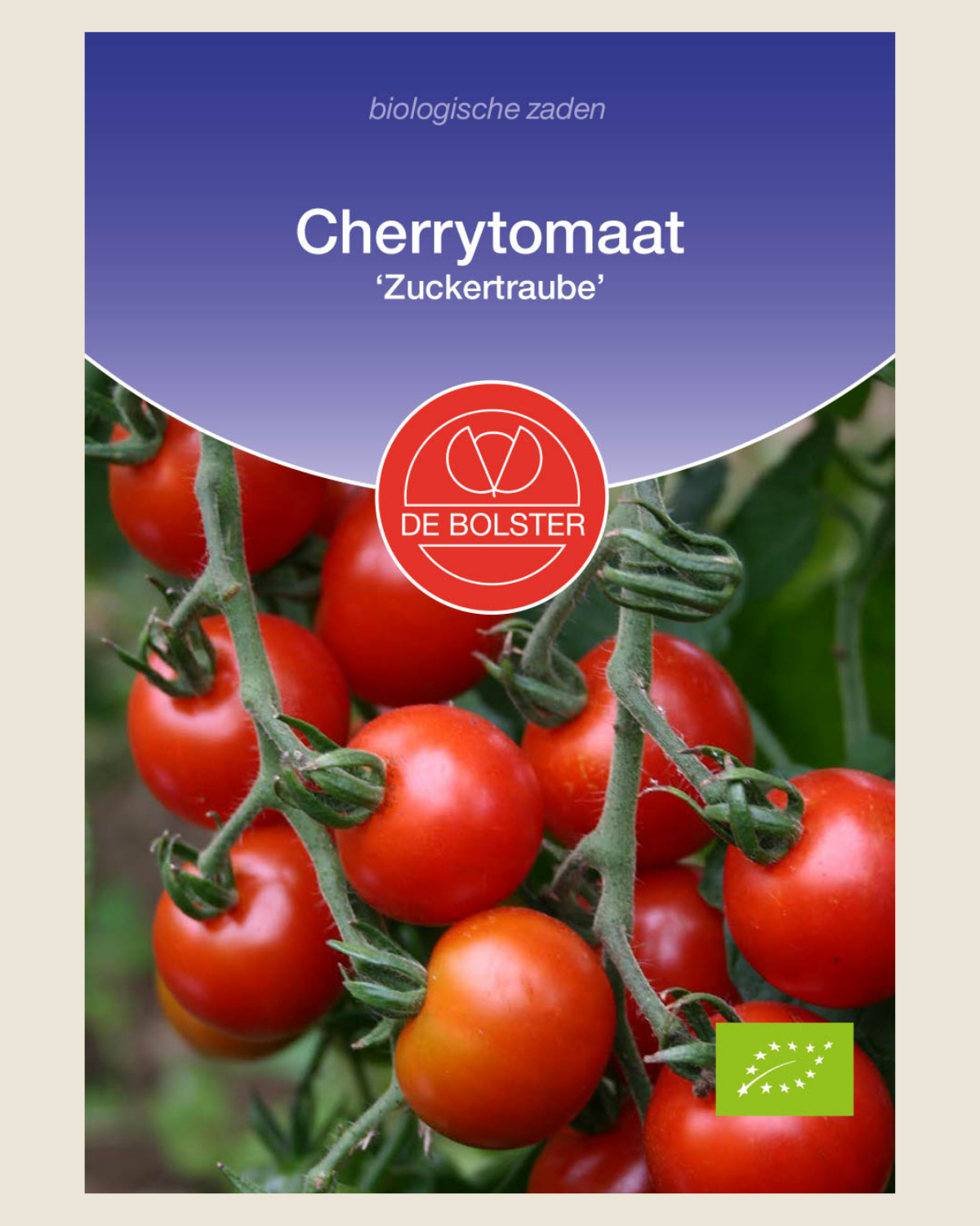 Cherrytomaat 'Zuckertraube' BIO