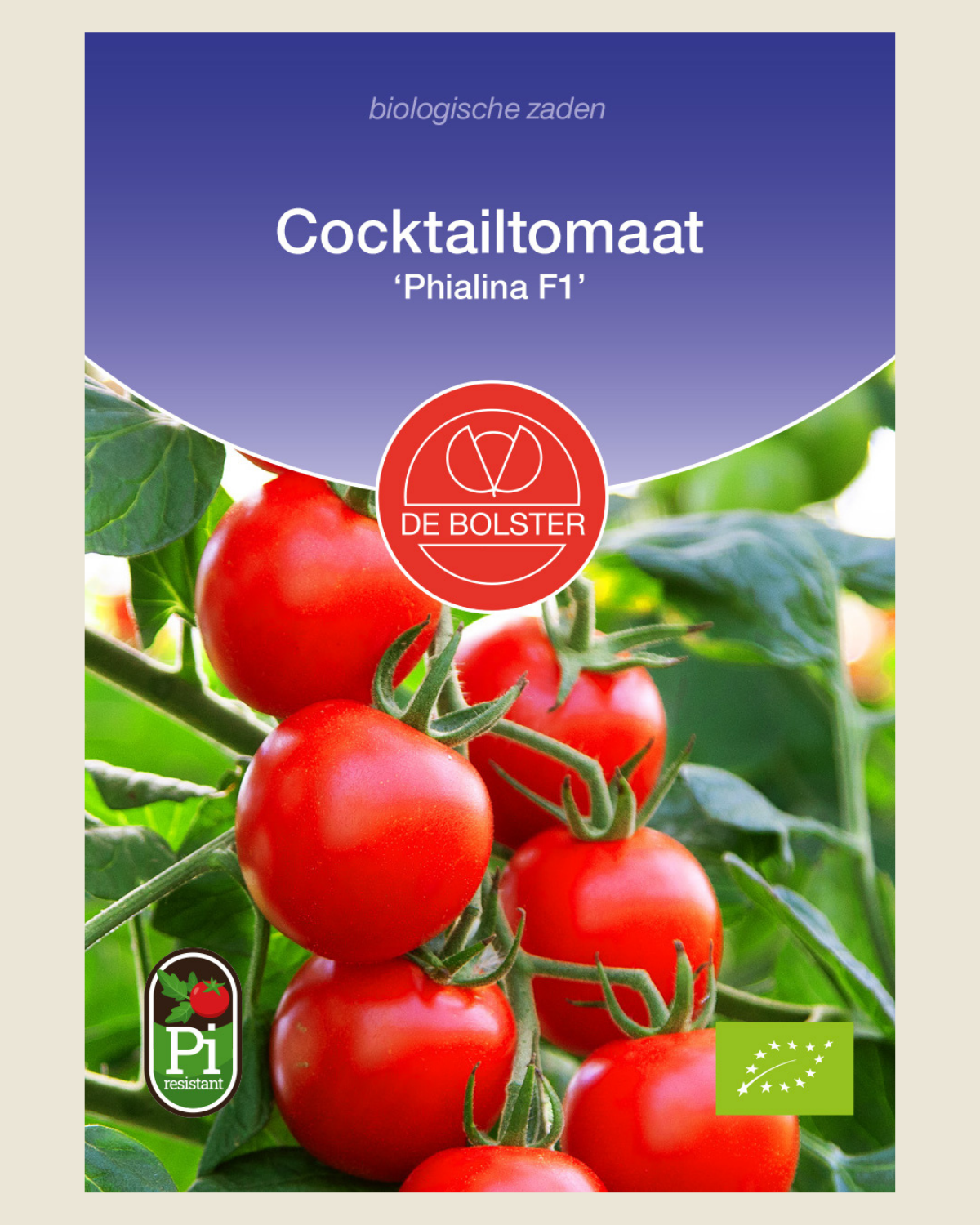 Cocktailtomaat 'Phialina F1' BIO