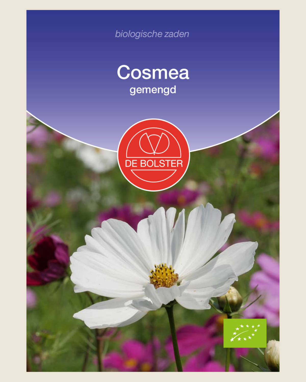 Cosmea, gemengd BIO