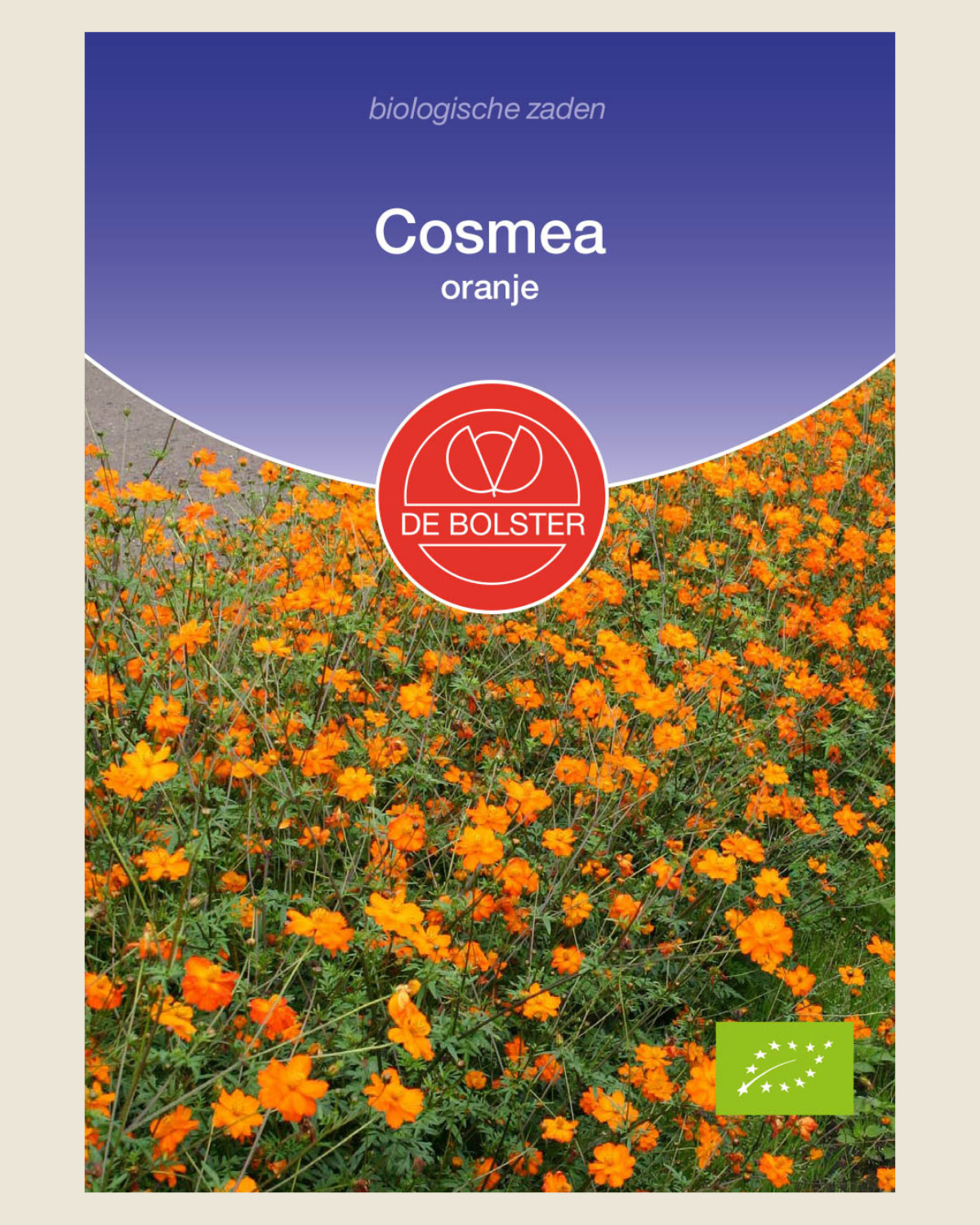 Cosmea, oranje BIO