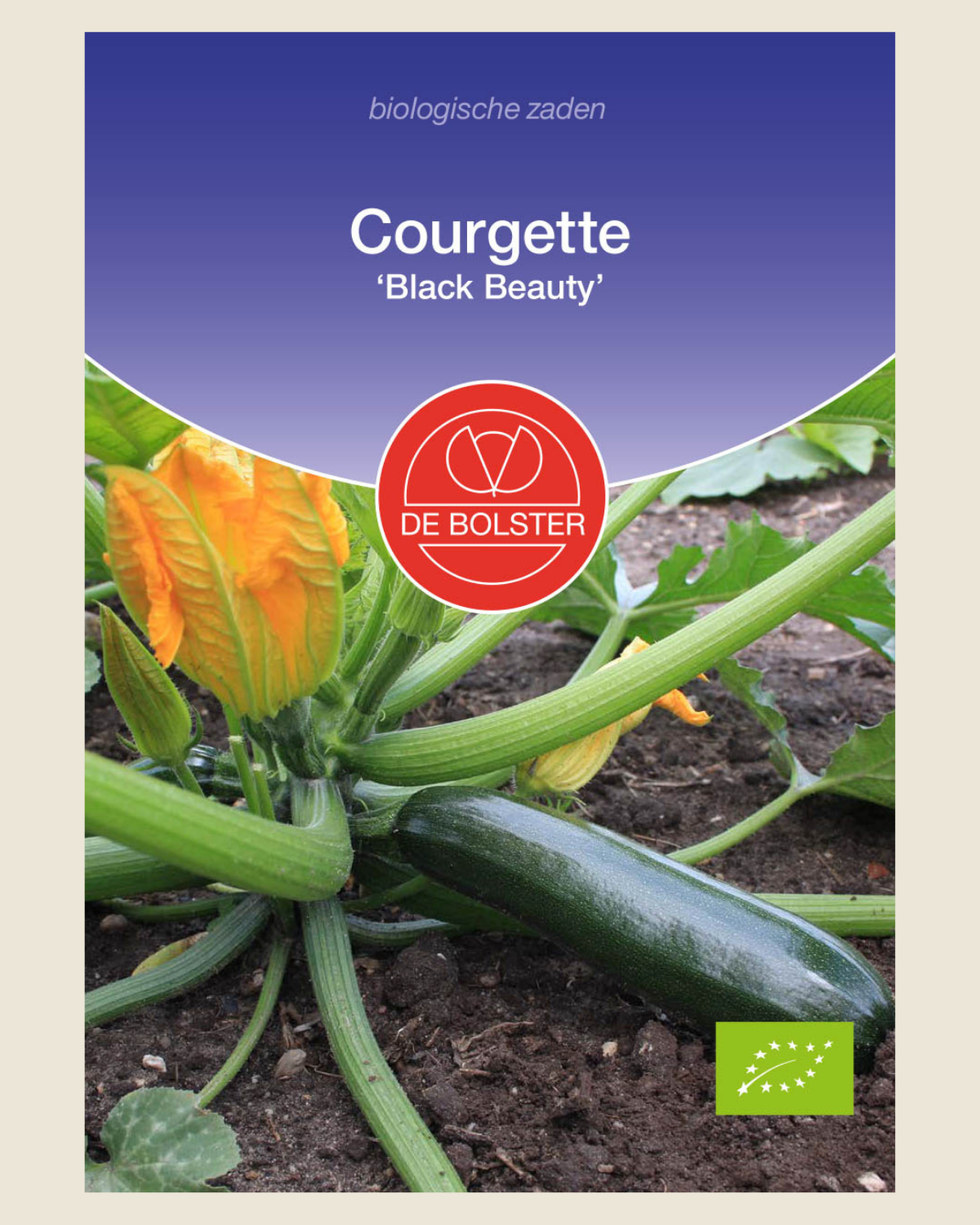 Courgette 'Black Beauty' BIO