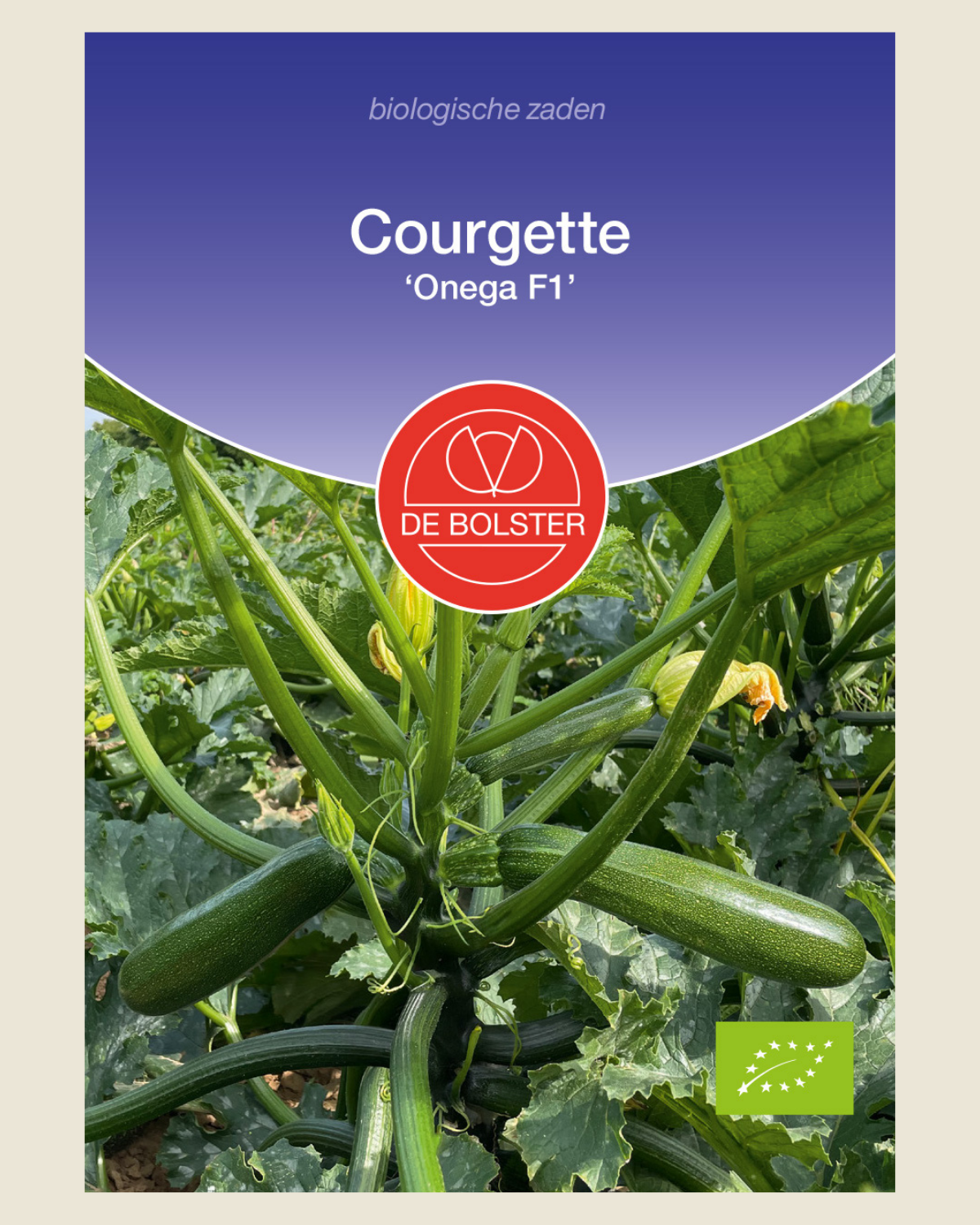 Courgette 'Onega F1' BIO