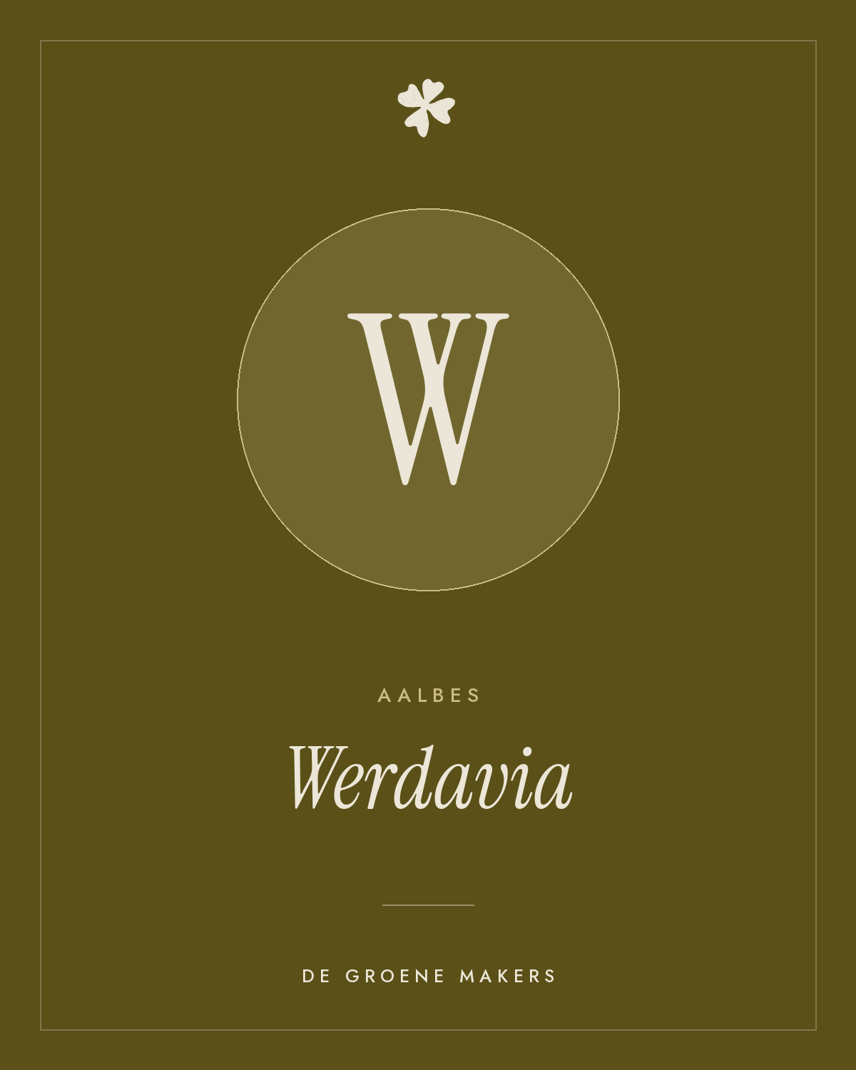Aalbes 'Werdavia' – De Groene Makers