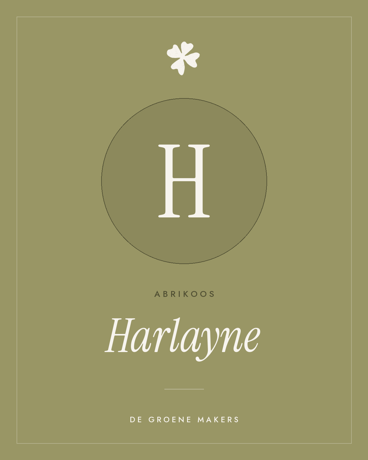 Abrikoos ‘Harlayne’ - De Groene Makers