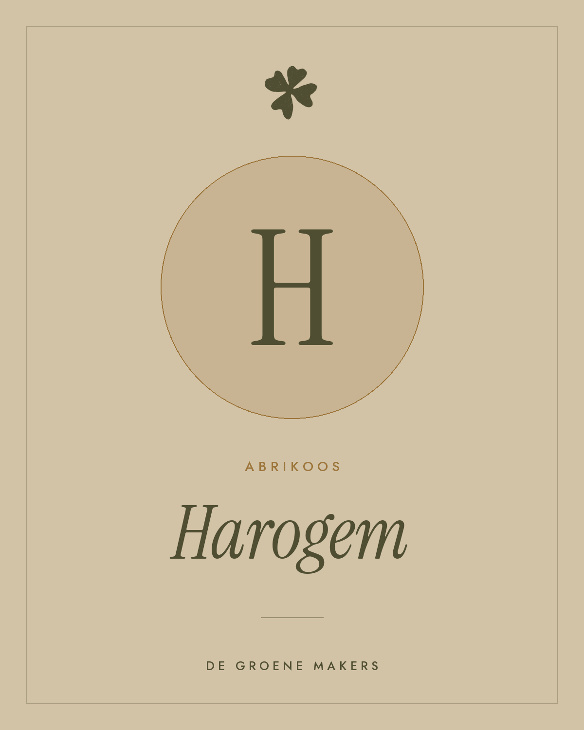 Abrikoos ‘Harogem’ - De Groene Makers