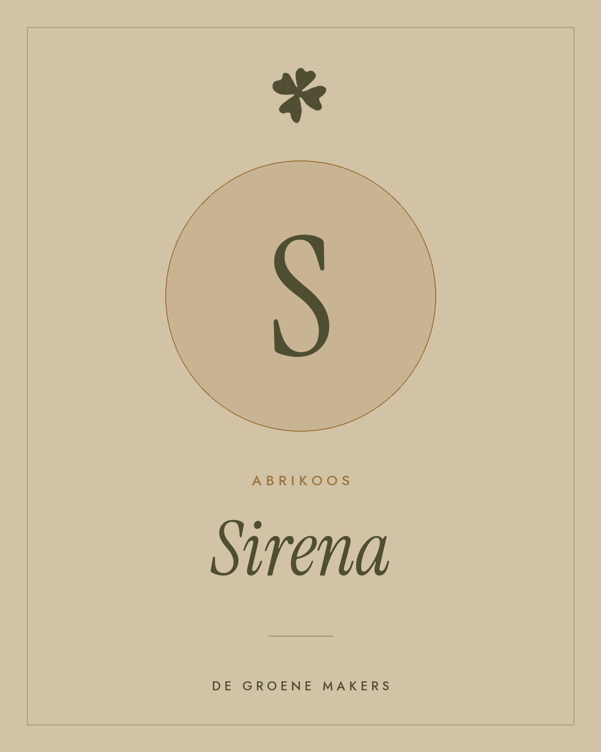 Abrikoos ‘Sirena’ - De Groene Makers