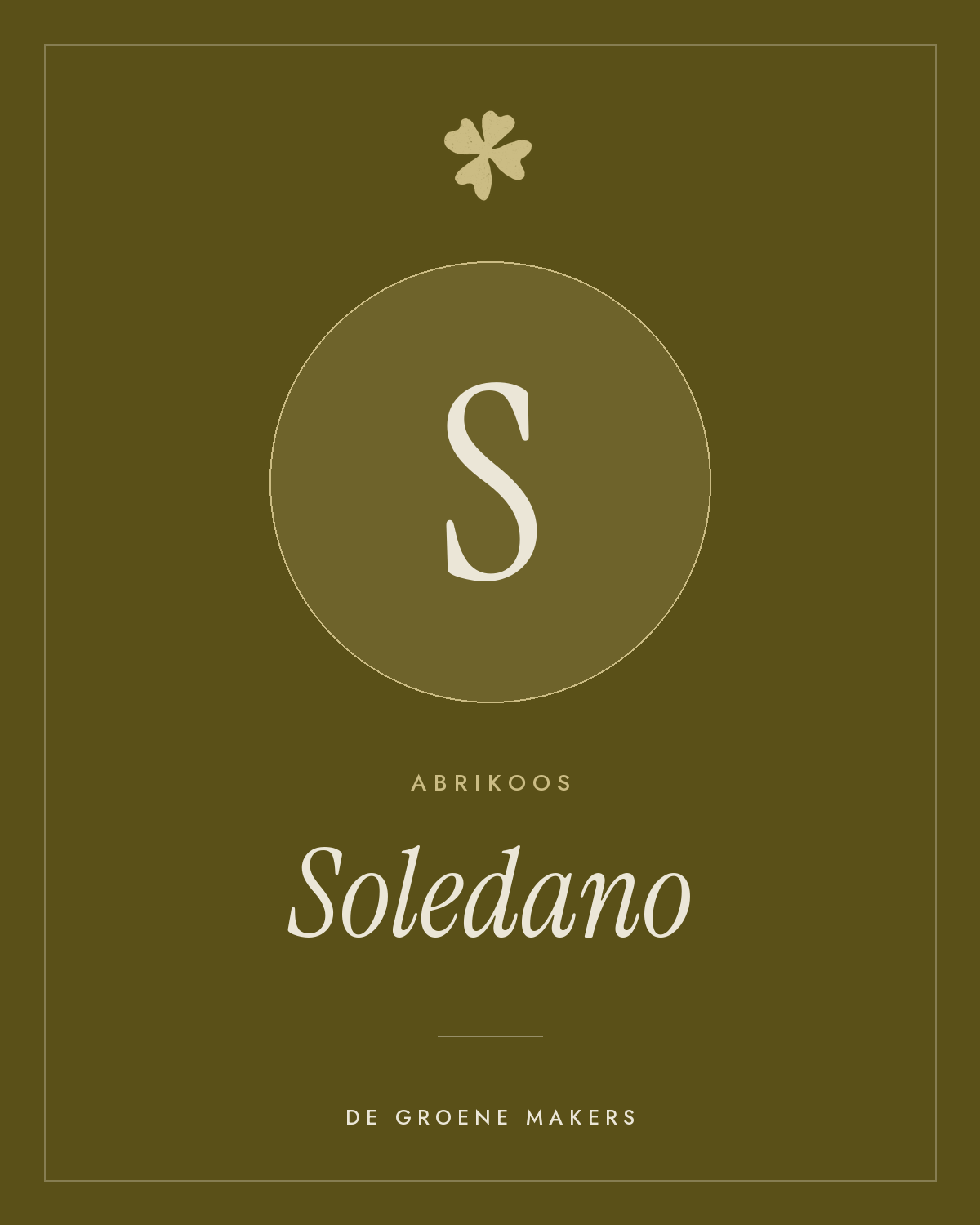 Abrikoos ‘Soledano’ - De Groene Makers