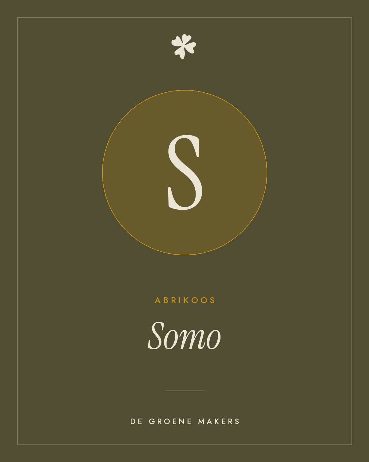 Abrikoos 'Somo' – De Groene Makers