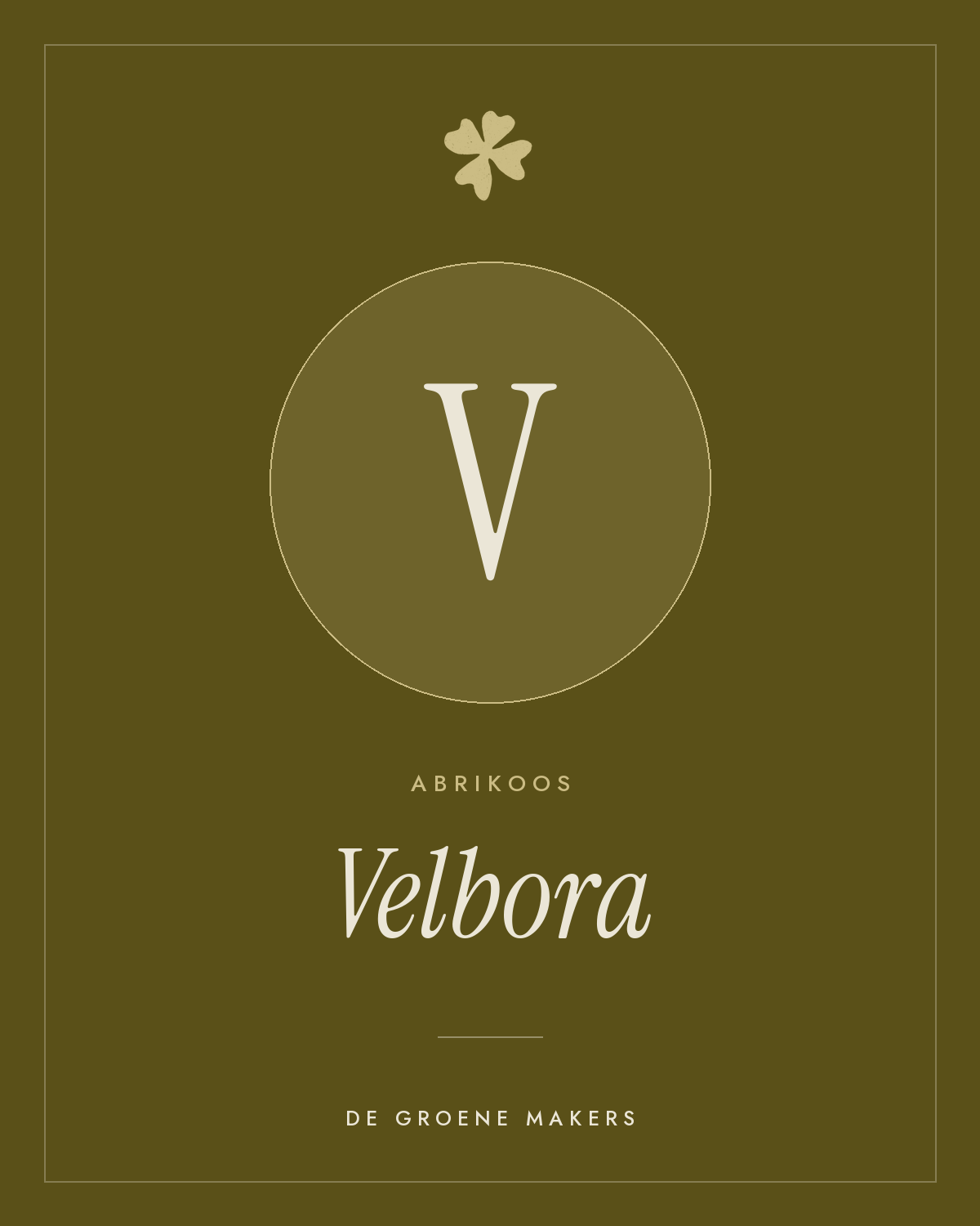 Abrikoos ‘Velbora’ - De Groene Makers