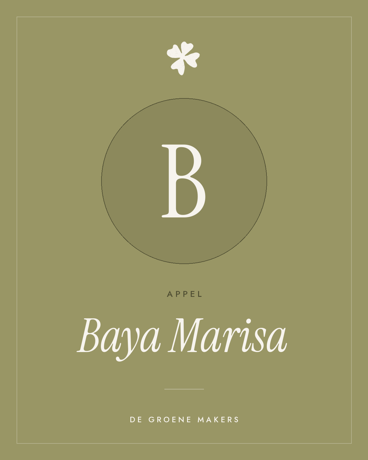 Appel ‘Baya Marisa’ - De Groene Makers