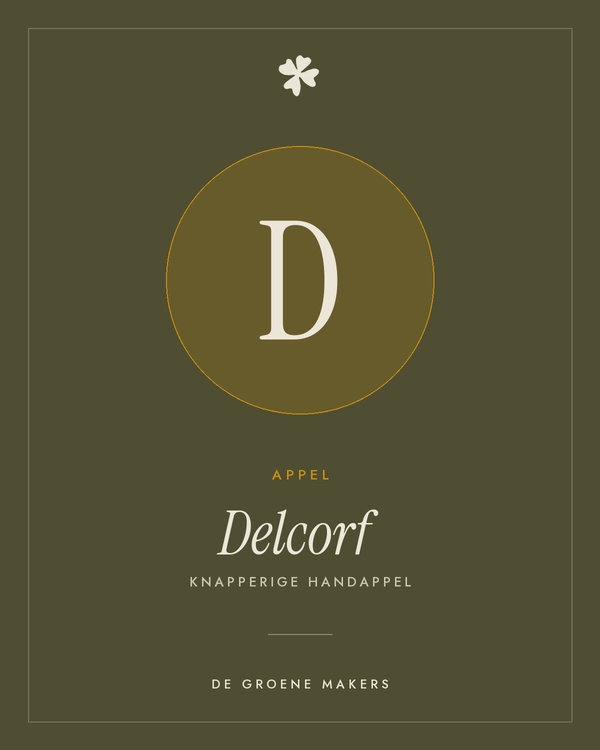 Appel 'Delcorf' – De Groene Makers