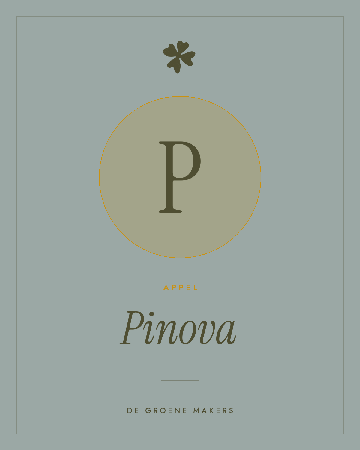 Appel ‘Pinova’ - De Groene Makers