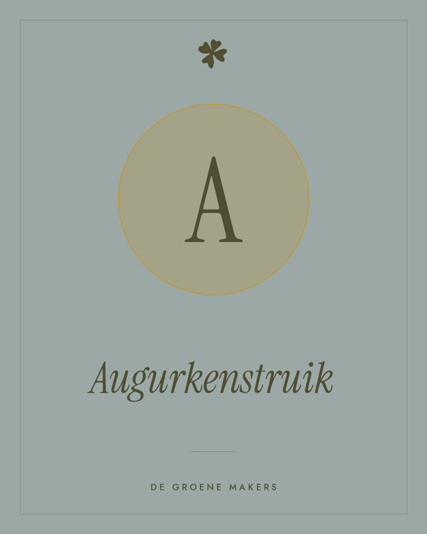 Augurkenstruik – De Groene Makers