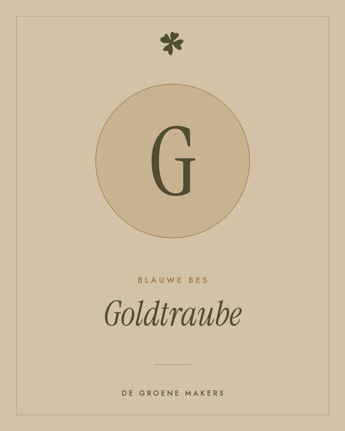 Blauwe bes 'Goldtraube' – De Groene Makers