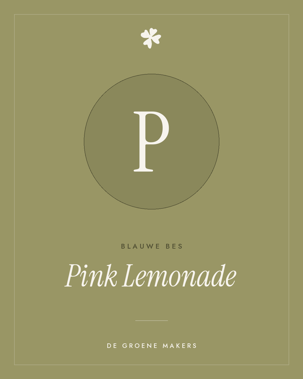Blauwe bes 'Pink Lemonade' – De Groene Makers