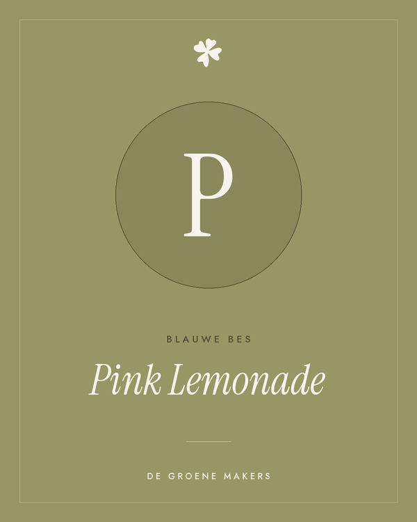 Blauwe bes 'Pink Lemonade' – De Groene Makers