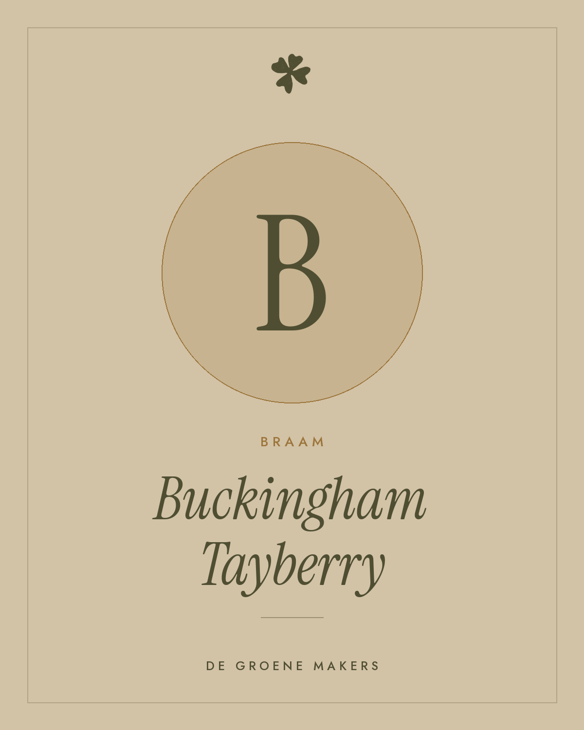 Braam 'Buckingham Tayberry' – De Groene Makers