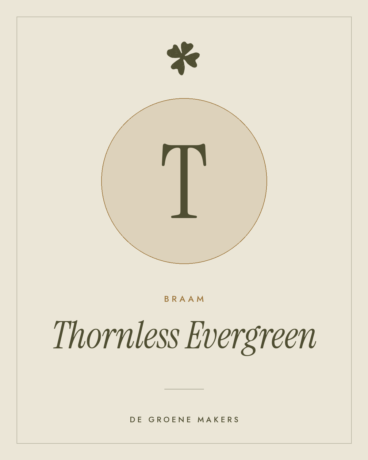 Braam ‘Thornless Evergreen’ - De Groene Makers