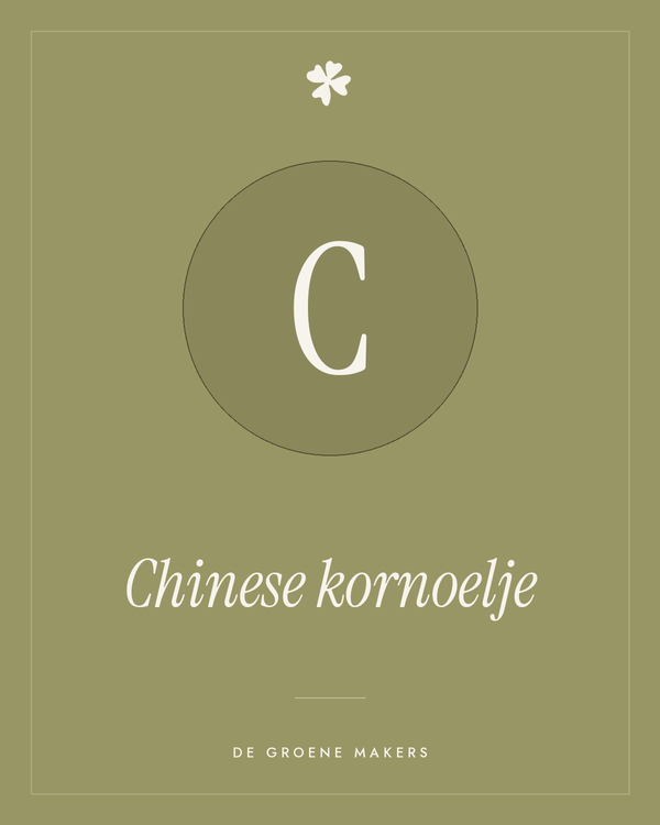 Chinese kornoelje – De Groene Makers