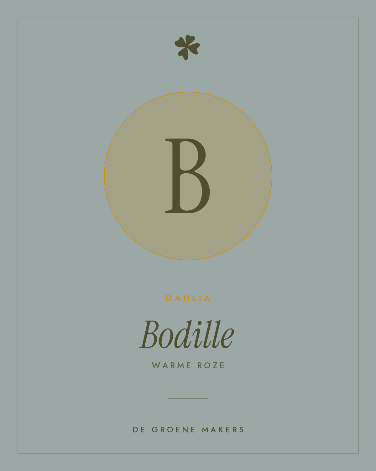 Dahlia 'Bodille' – De Groene Makers