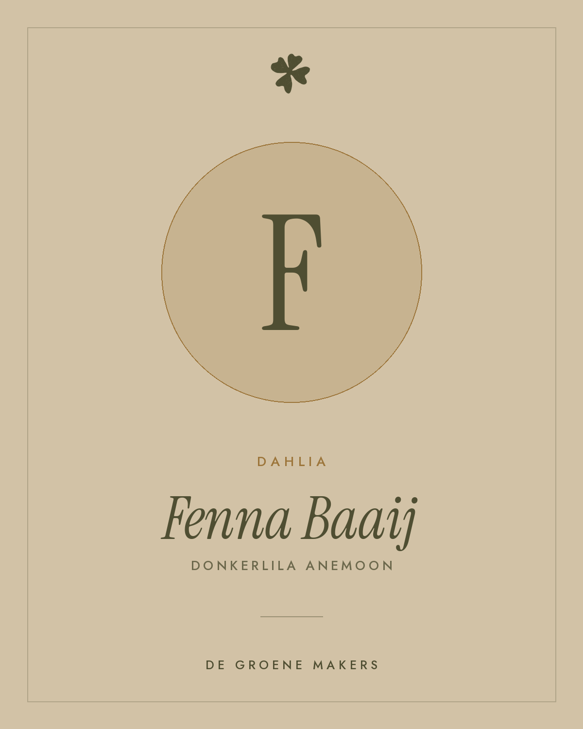 Dahlia 'Fenna Baaij' – De Groene Makers