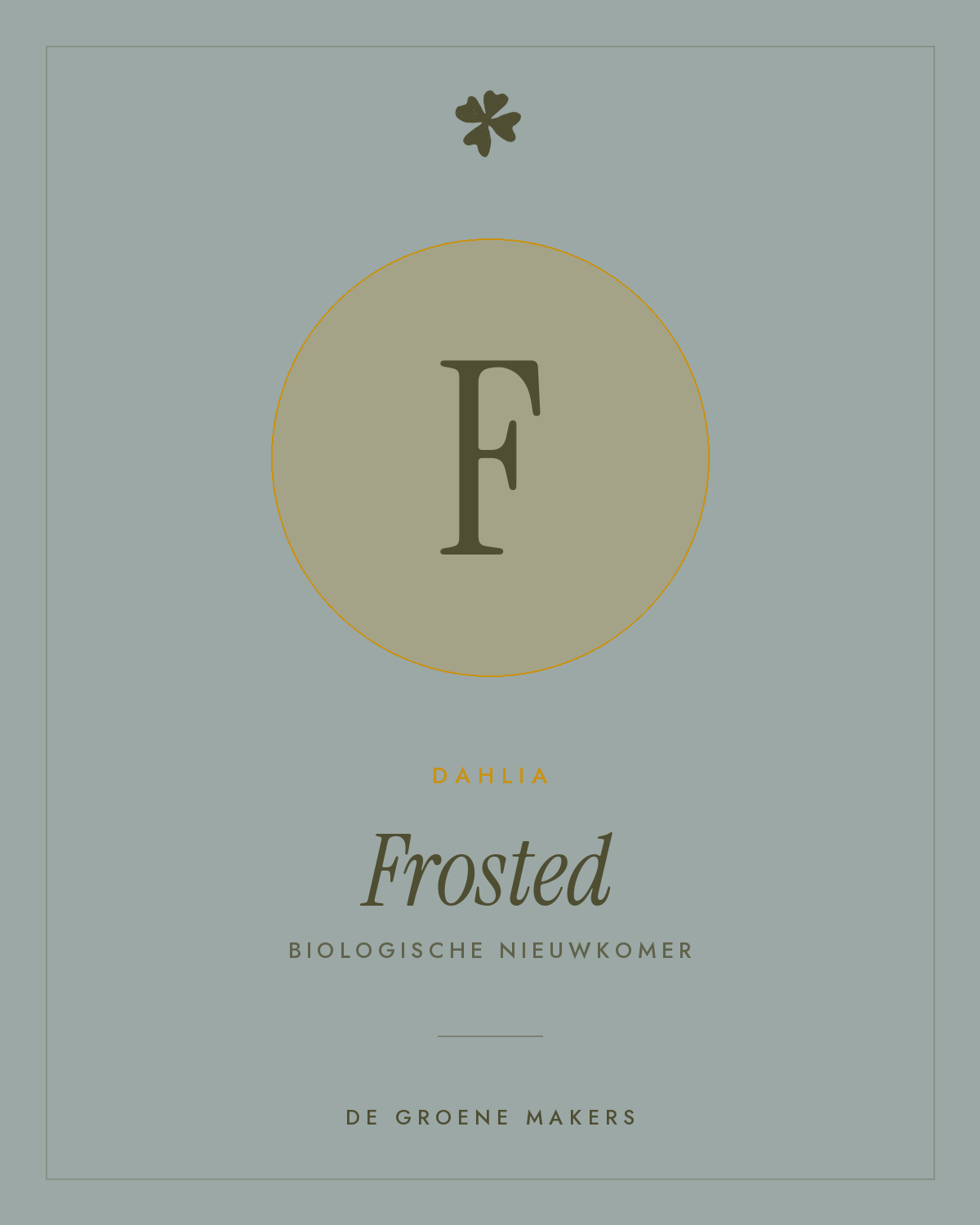 Dahlia 'Frosted' – De Groene Makers
