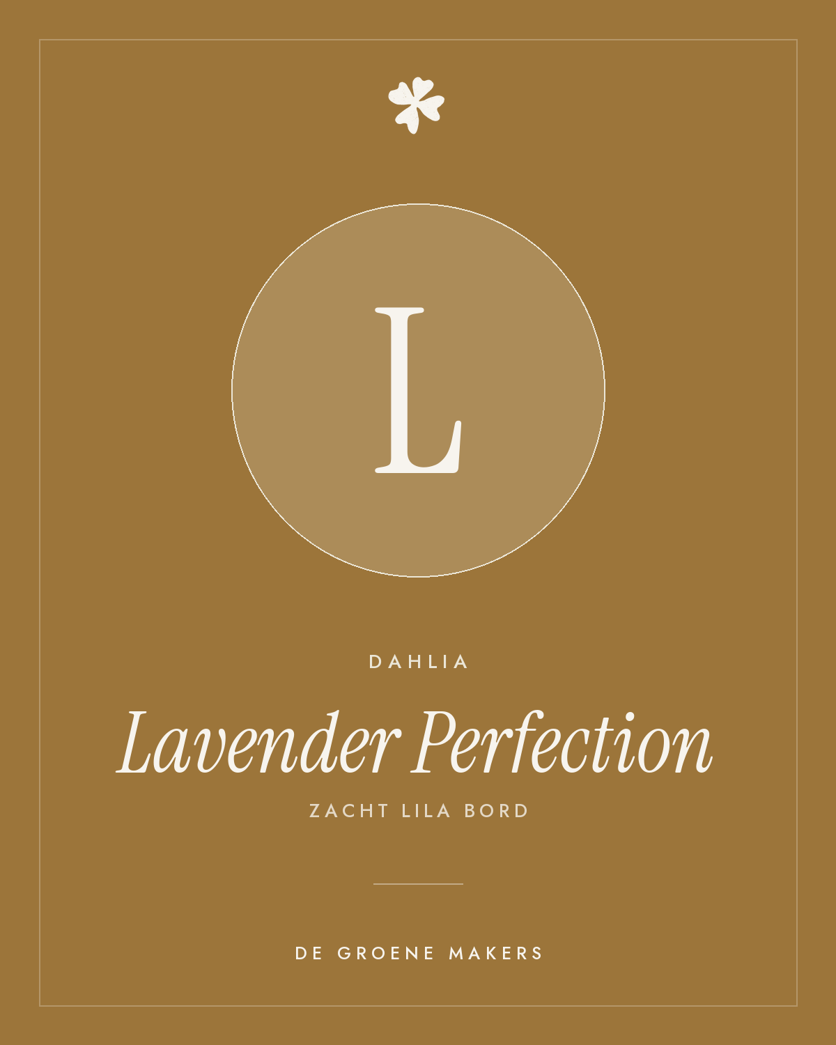 Dahlia 'Lavender Perfection' – De Groene Makers