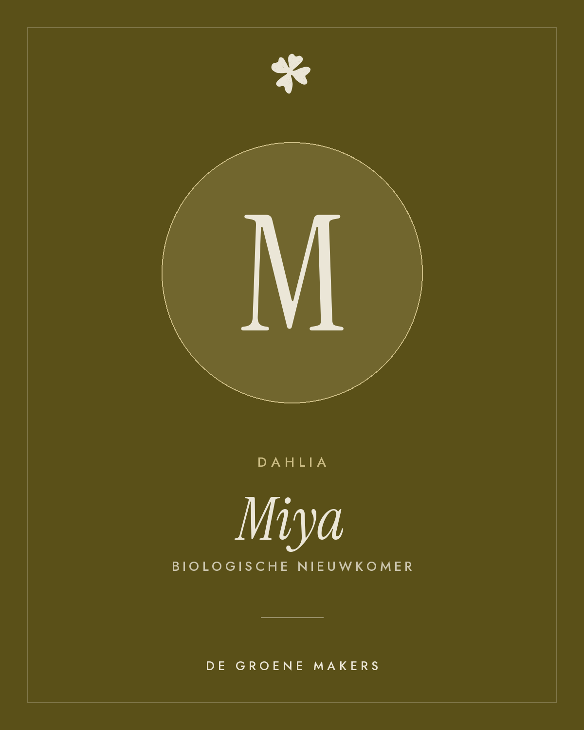 Dahlia 'Miya' – De Groene Makers