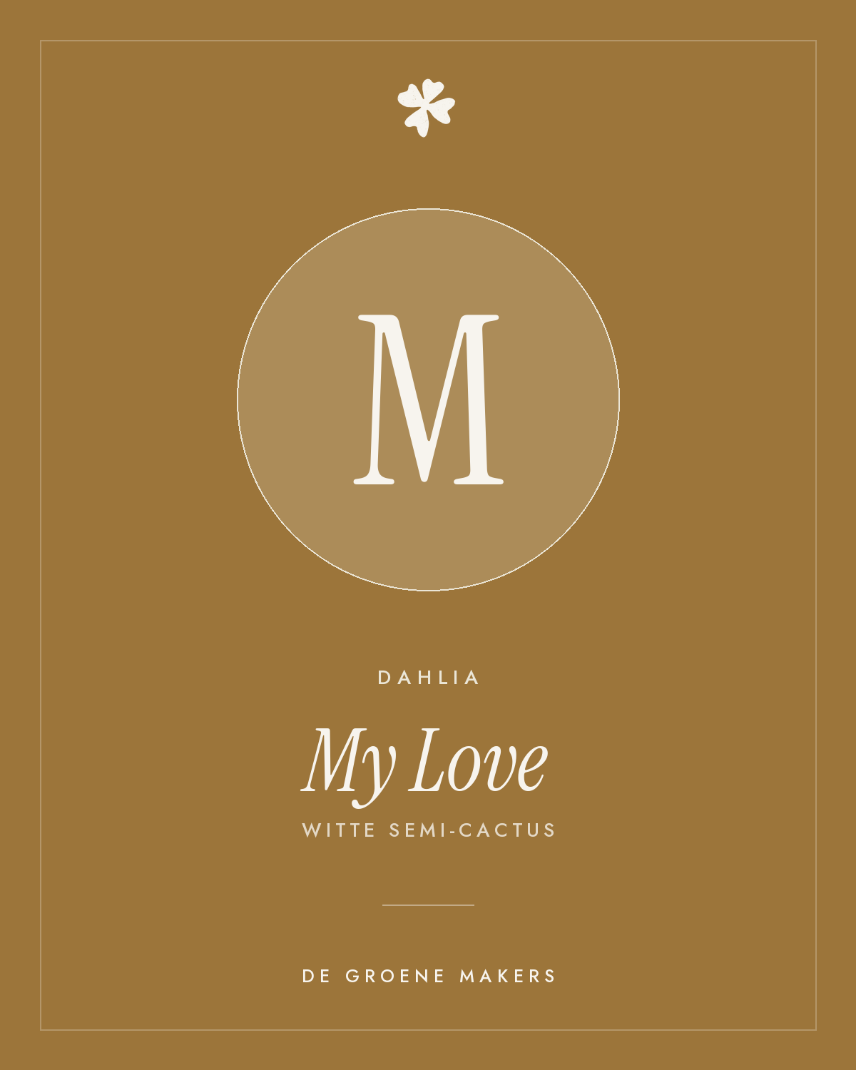 Dahlia 'My Love' – De Groene Makers