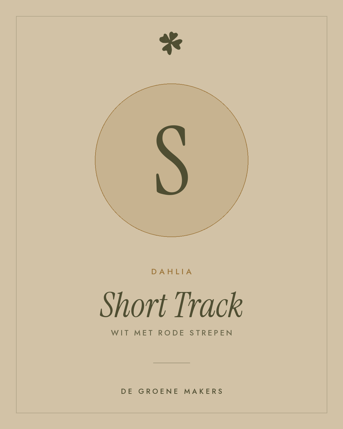 Dahlia 'Short Track' – De Groene Makers