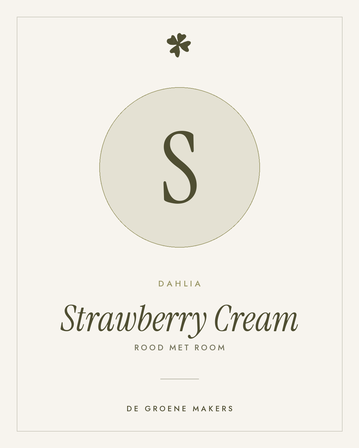 Dahlia 'Strawberry Cream' – De Groene Makers