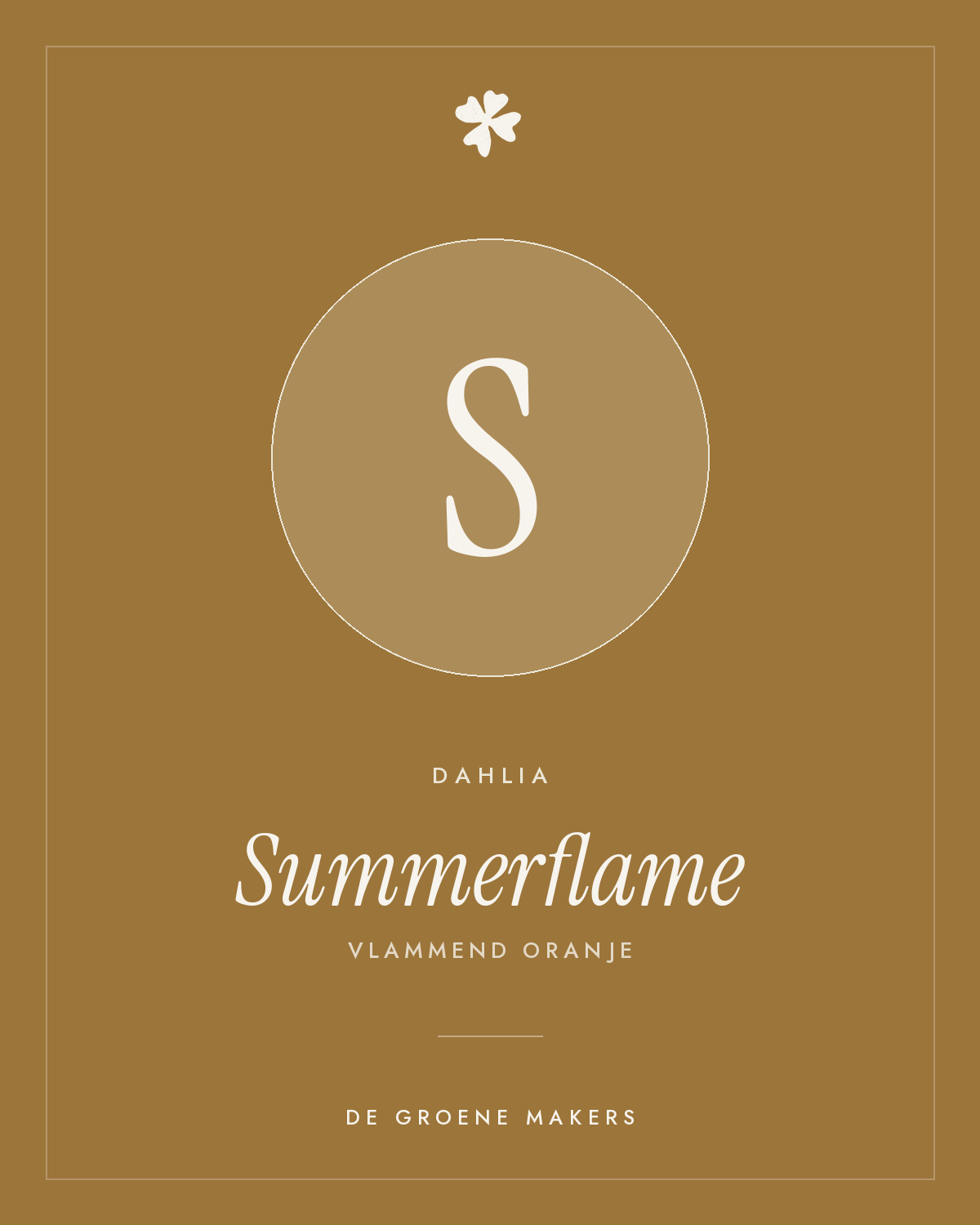 Dahlia 'Summerflame' – De Groene Makers