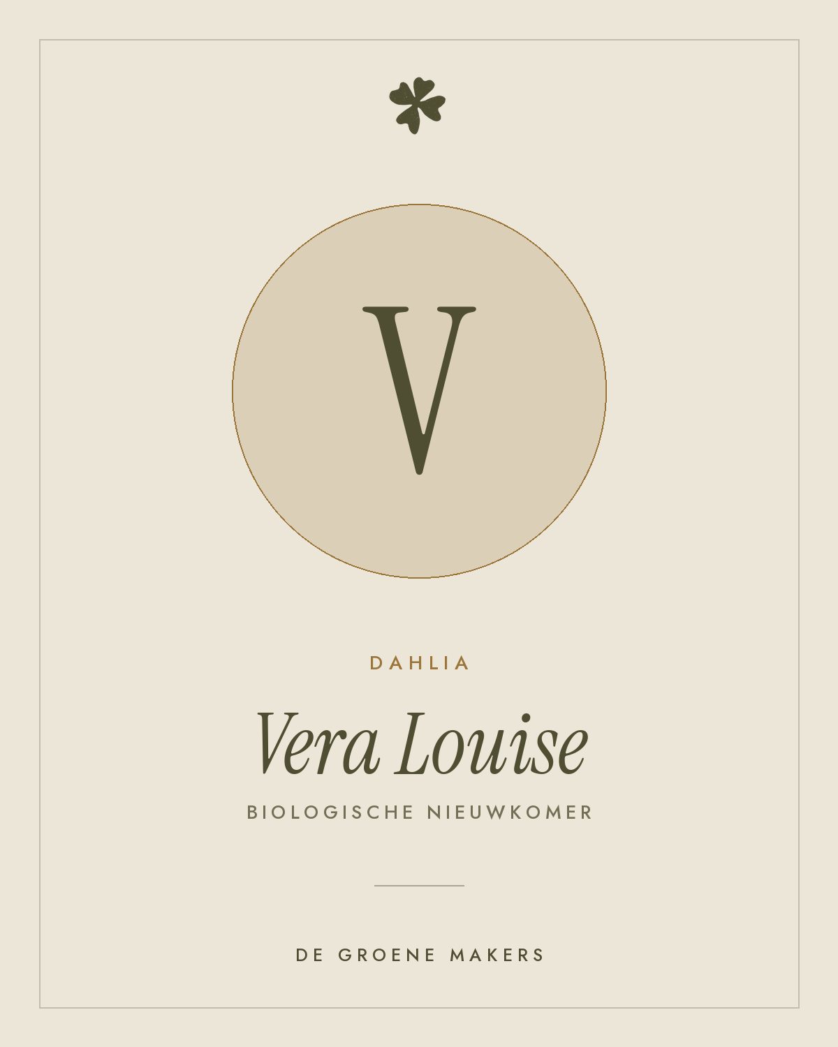 Dahlia 'Vera Louise' – De Groene Makers